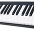 Alesis V49 image