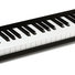 Alesis V49 image