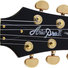 Aria PE-MAHO image