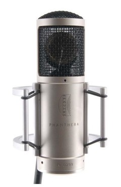 Brauner Phanthera image