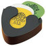 Dunlop GA20 Acoustic Guitar Accessory Pack image