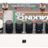 Electro-Harmonix Stereo Talking Machine image