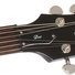 Epiphone Dot Ebony image