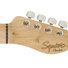 Fender Squier Affinity Telecaster Maple Butterscotch Blonde image
