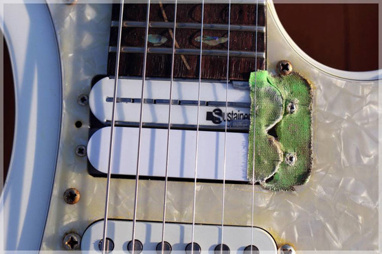 Fernandes Sustainer Kit FSK-101WH image