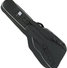 Gewa 212300 Economy 12 Acoustic Bass image