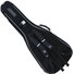 Gewa 218200 Jaeger Custom Acoustic image