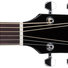 Ibanez PF15-BK Black image