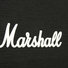 Marshall 1960A image