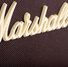 Marshall AS50D Acoustic Soloist image