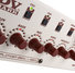 DV Mark Multiamp image