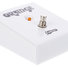 Orange FS1 image