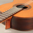 Perez 630 Cedar image