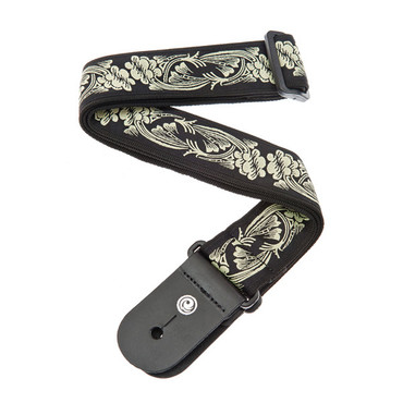 Planet Waves 50A04 Rainforest image