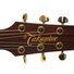 Planet Waves PWAT-333L Auto-Trim 3 Per Side Gold image
