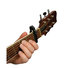 Planet Waves PW-CP-01 Ratchet Capo image