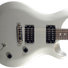 PRS SE Standard 22 Platinum ST22PT image