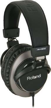 Roland RH-300 image