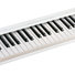 Roland A-49-WH MIDI Keyboard Controller image