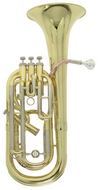 Roy Benson BH-302 image
