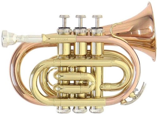 Roy Benson PT-101G image