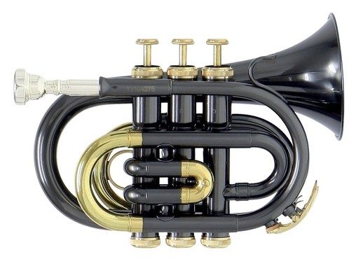 Roy Benson PT-101K image