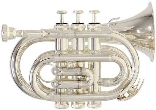 Roy Benson PT-101S image