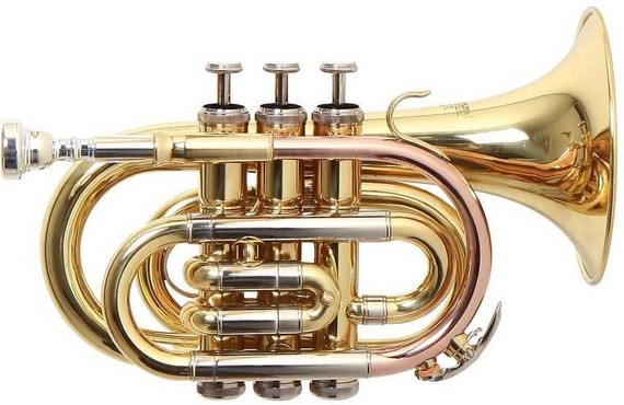 Roy Benson PT-302 image