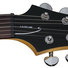 Schecter C 6 Plus EM image