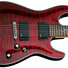 Schecter Damien Special CRED image