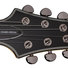 Schecter Damien Special CRED image