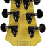 Schecter Damien Special CRED image
