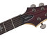 Schecter Demon 6 CRB image