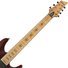 Schecter Jeff Loomis-7 NT VRS image