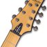 Schecter Jeff Loomis-7 NT VRS image