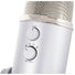 Blue Yeti image