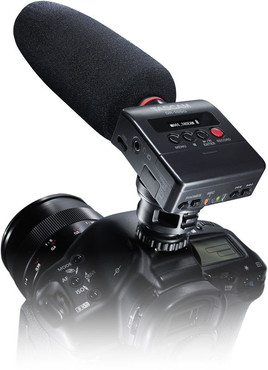 Tascam DR-10SG image