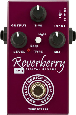 AMT RY-1 Reverberry image