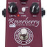 AMT RY-1 Reverberry image