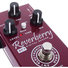 AMT RY-1 Reverberry image