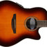 Ovation CS24-1 Celebrity Standard Sunburst 2