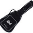 Cort AB850F NAT w/bag 5