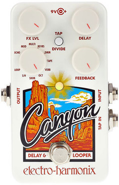 Electro-Harmonix Canyon Delay & Looper 0