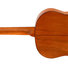Fender ESC105 Classical 3