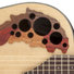 Ovation CE44-4 Celebrity Elite Natural 1