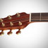 Ovation CE44P-SM Celebrity Elite Plus 6