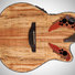 Ovation CE44P-SM Celebrity Elite Plus 1