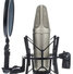 Rode NT2-A 10