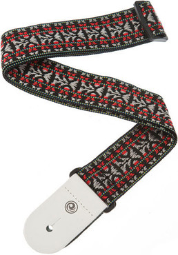 Planet Waves 50G01 Hootenanny 2 0