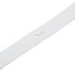 Planet Waves 25BL02 Basic Classic White 4